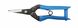 Productafbeelding Fruit shears Okatsune 304 with blue handles klein