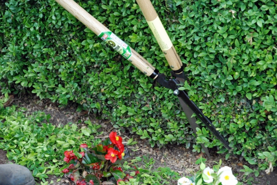 Product image Hedge shears Okatsune 230: long handled, long-bladed