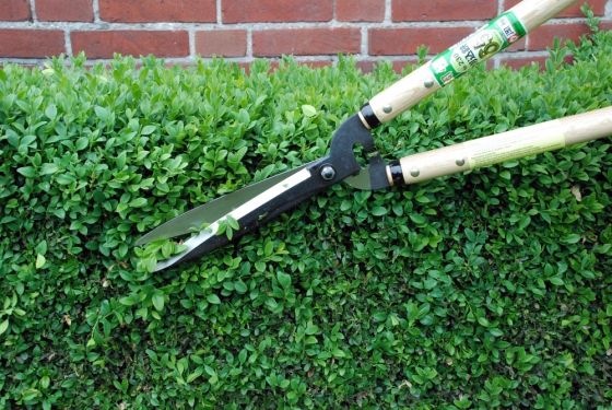 Product image Hedge shears Okatsune 230: long handled, long-bladed