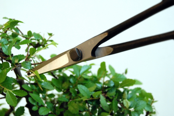 Produktbild Bonsai-Schere Okatsune 206: leichte Präzisions-Gartenschere
