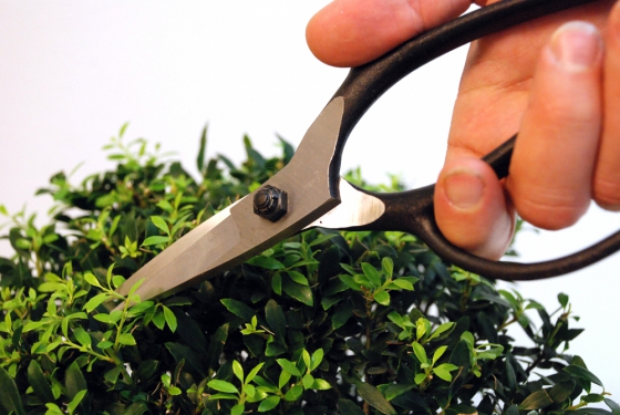 Product image Bonsai scissors Okatsune 201: medium blade and protective stopper