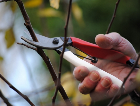 Product image Pruners Okatsune 101 for small hands