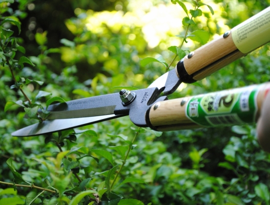 Product image Hedge shears Okatsune 231: short handled, long-bladed